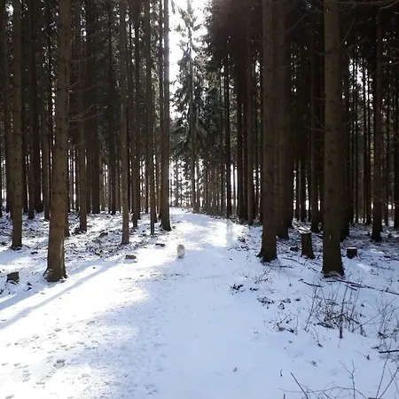 Apartament Allerheiligenkapelle Mit Kamin Und Garten Zur Alleinigen Nutzung, Nur 3 Km Zum See