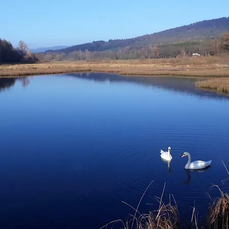 Allerheiligenkapelle Mit Kamin Und Garten Zur Alleinigen Nutzung, Nur 3 Km Zum See Apartament Waldmünchen
